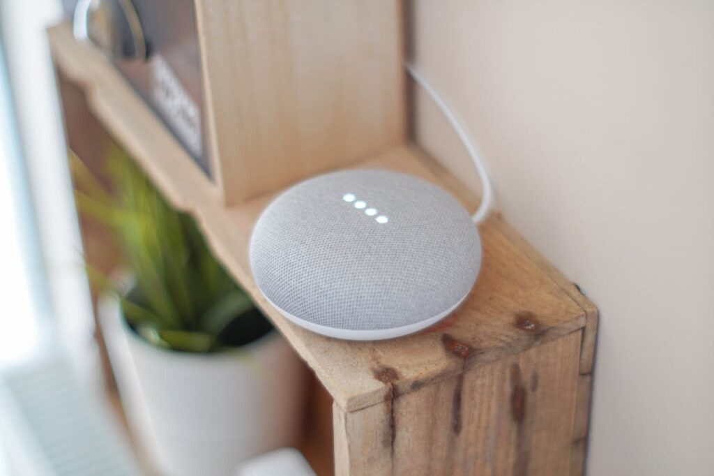 Google Nest Mini goedkope slimme speaker beginners