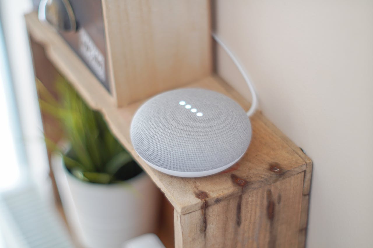 Google Nest Mini goedkope slimme speaker beginners